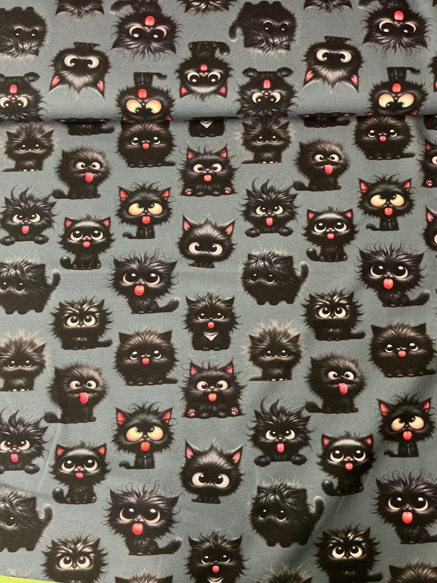 French Terry Katzer Miau – Eigendruck